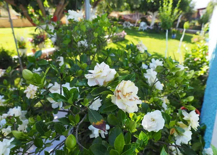 Elena Stoypa Apartmán *