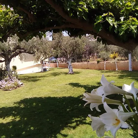 Elena Stoypa Апартаменты *