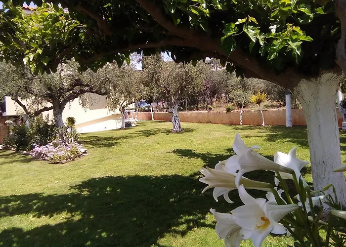 Elena Stoypa Apartamento *